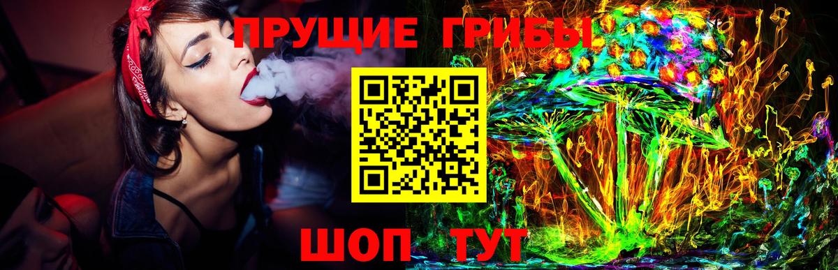 Галлюциногенные грибы Psilocybine cubensis Щёлково